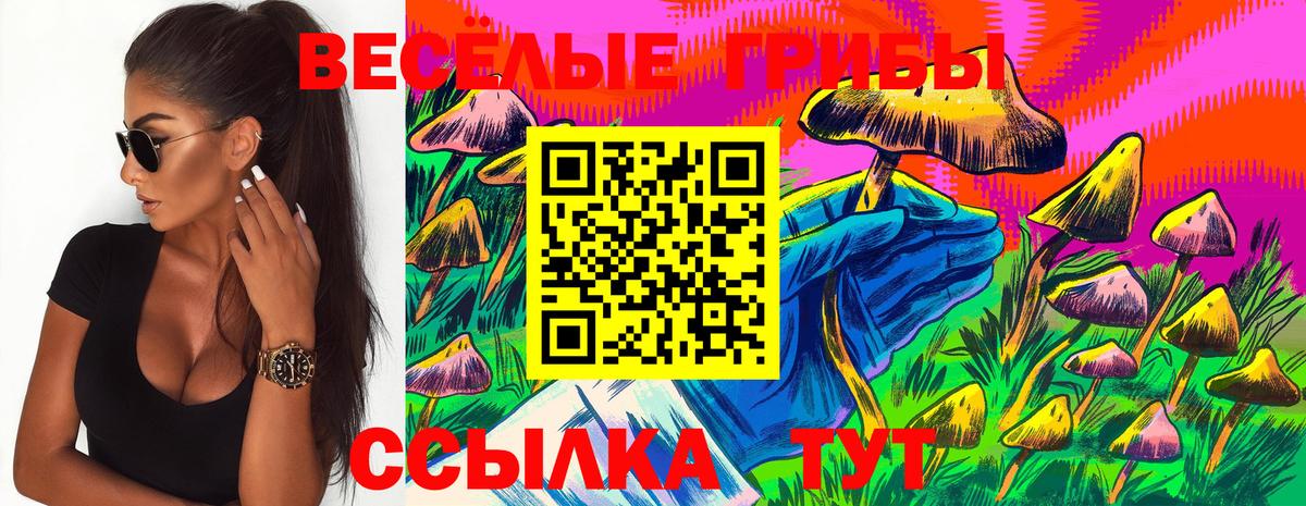 Галлюциногенные грибы Magic Shrooms Дивногорск