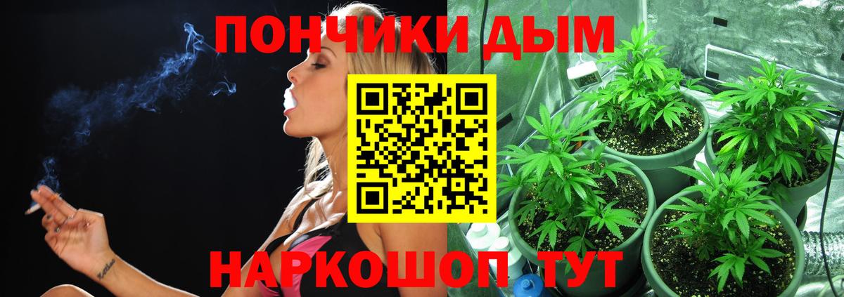 Бошки марихуана OG Kush Дивногорск